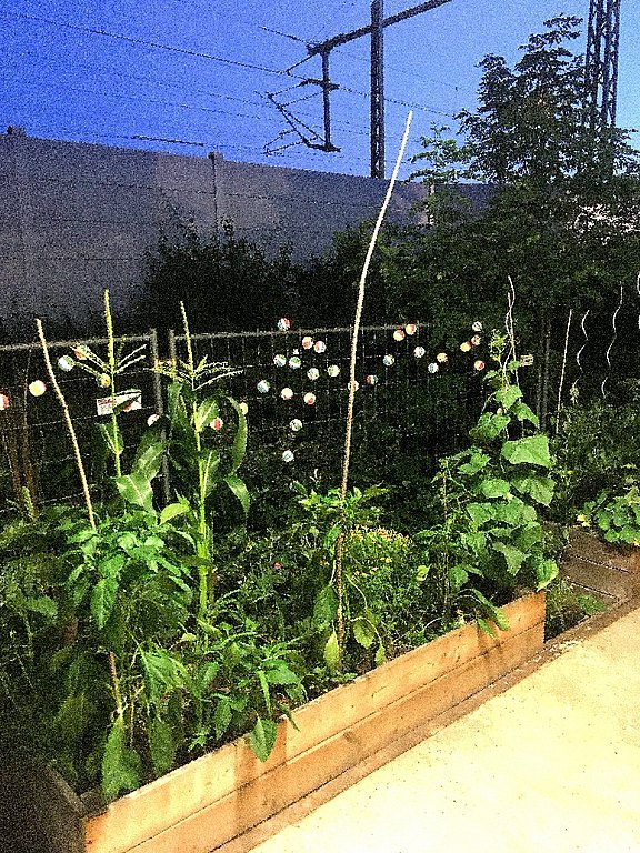 Das Bild zeigt einen beleuchteten Garten mit Lichterkette in Abendstimmung.