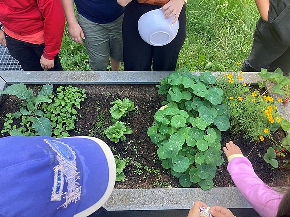 Man sieht die Draufsicht eines Hochbeetes, um das sich Kinder versammelt haben.