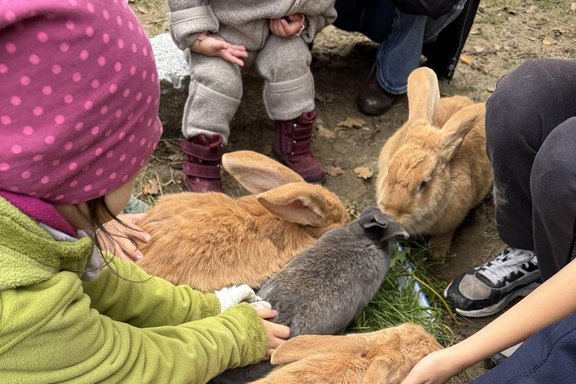 Das Bild zeigt Kaninchen, umgeben von Kindern, die sie streicheln  