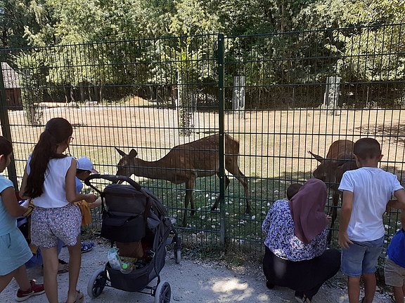 Das Bild zeigt ein Wildtier im Gehege, vor den Gittern sind Kinder und Erwachsene zu sehen. 